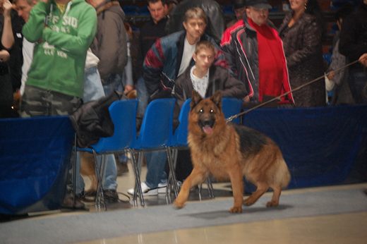Rzeszów — 2013 — zdjęcie 72