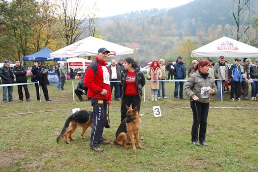 Czchów – Zapora — 2012 — zdjęcie 73