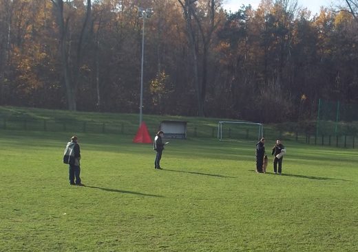 Mistrzostwa IPO ON 2012 — zdjęcie 91