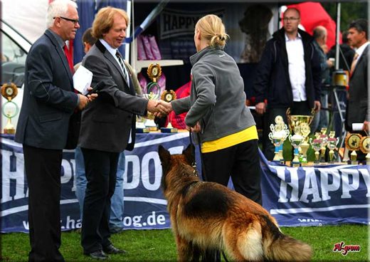 Krasnystaw — 2012 — zdjęcie 137
