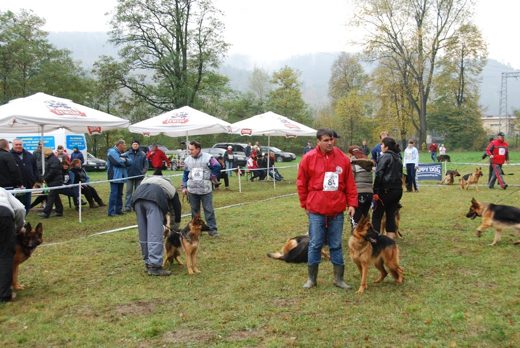 Czchów – Zapora — 2012 — zdjęcie 79