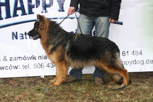 Jarosław — 2013 — zdjęcie 37