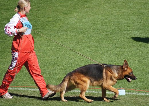 Wystawa światowa ON 2011 — zdjęcie 8