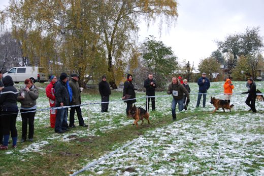 Czchów – Zapora — 2012 — zdjęcie 10