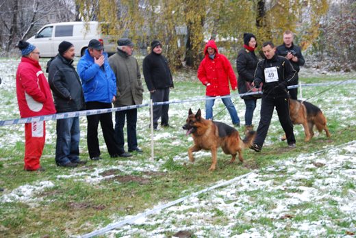 Czchów – Zapora — 2012 — zdjęcie 15
