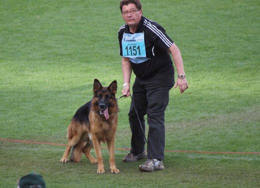 Wystawa światowa ON 2011 — zdjęcie 43