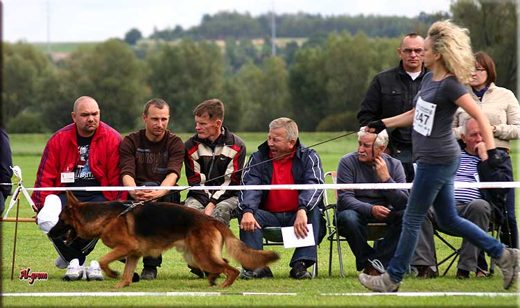 Krasnystaw — 2012 — zdjęcie 10