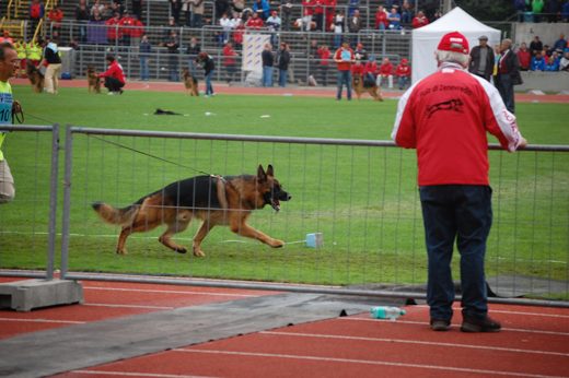 Wystawa światowa ON 2012 — zdjęcie 38
