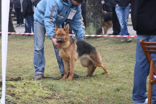 Jarosław — 2013 — zdjęcie 65