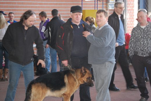 Katowice — 2013 — zdjęcie 35