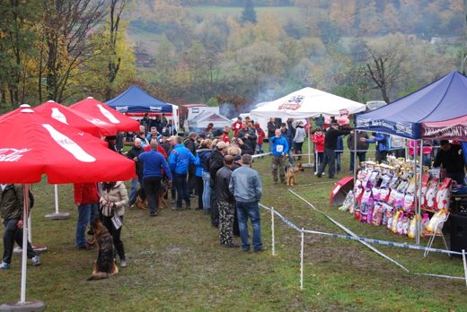 Czchów – Zapora — 2012 — zdjęcie 107