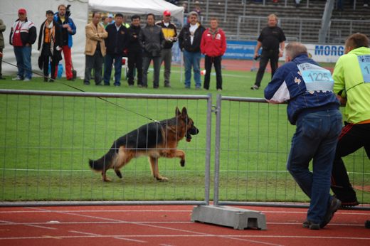 Wystawa światowa ON 2012 — zdjęcie 35