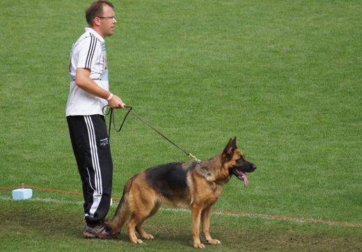 Wystawa światowa ON 2011 — zdjęcie 203