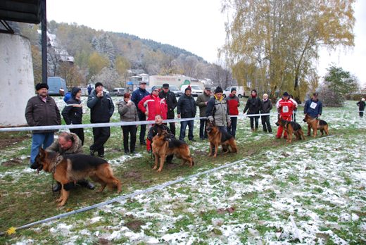 Czchów – Zapora — 2012 — zdjęcie 8