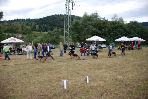 Czchów – Zapora — 2012 — zdjęcie 26