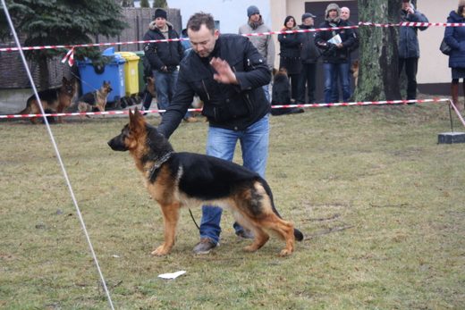 Jarosław — 2013 — zdjęcie 77