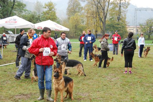 Czchów – Zapora — 2012 — zdjęcie 74