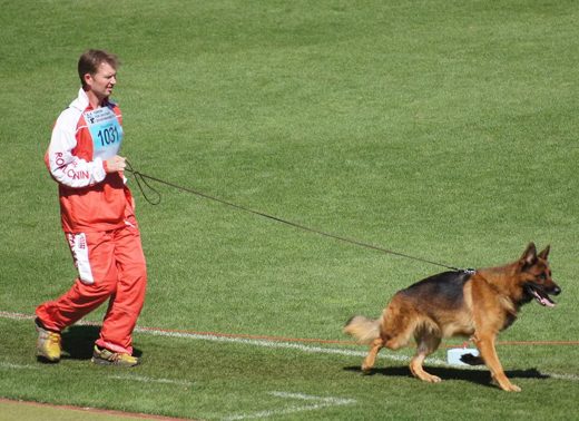 Wystawa światowa ON 2011 — zdjęcie 10