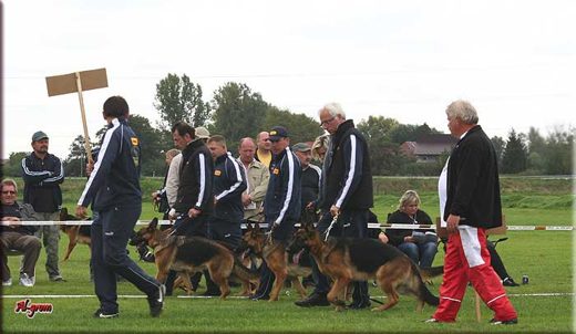 Krasnystaw — 2012 — zdjęcie 61
