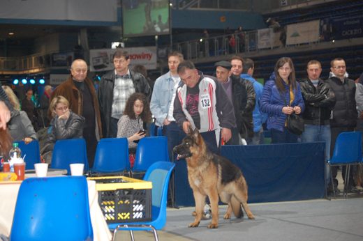 Rzeszów — 2013 — zdjęcie 75