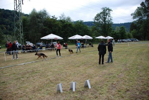 Czchów – Zapora — 2012 — zdjęcie 43