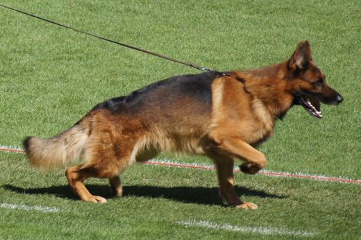 Wystawa światowa ON 2011 — zdjęcie 11