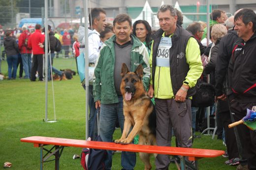 Wystawa światowa ON 2012 — zdjęcie 85