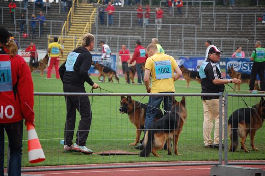 Wystawa światowa ON 2012 — zdjęcie 64