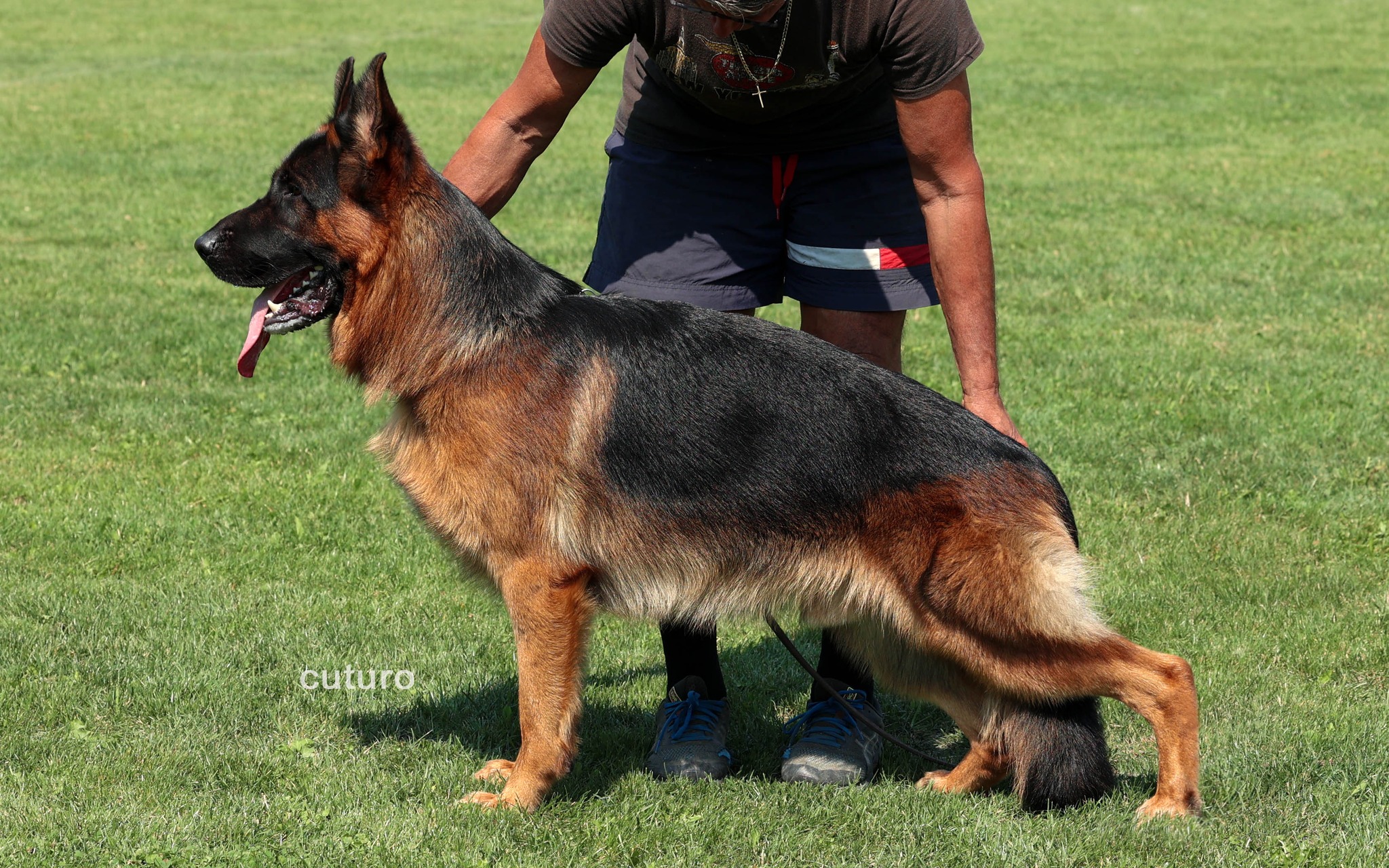 Cuturo